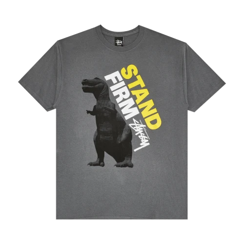 Stussy Dino Stand First Tee 'Charcoal'