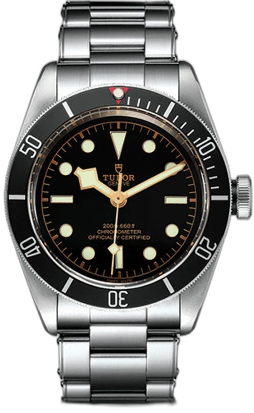 $1 Weekend Tudor Black Bay M79230N
