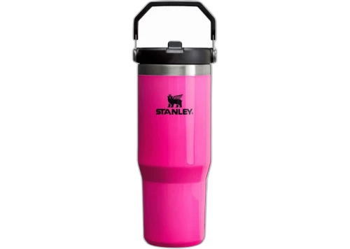 Stanley The Neon Collection IceFlow Flip Straw 30oz Tumbler Electric Pink