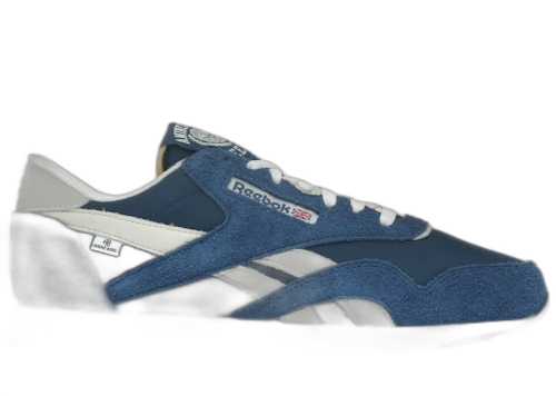 Reebok Classic Nylon Anine Bing