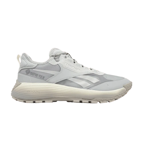 Reebok DMX Trail GORE-TEX 'Grey Stone Chalk'