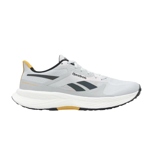 Reebok Floatride Energy 6 'Moon Grey Heritage Gold'
