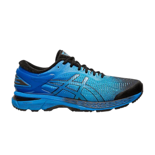 ASICS Gel-Kayano 25 SP 'Blue'