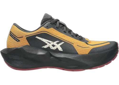 ASICS Novablast 6 Gore-Tex Sandstorm Black