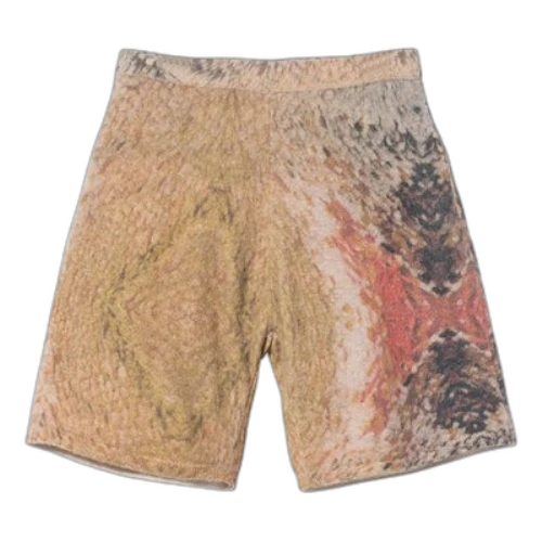 Stussy Wings Print Knit Short 'Multi'