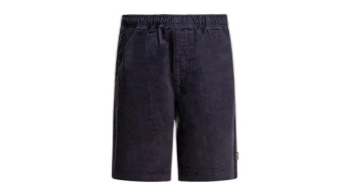 Stussy Beach Brushed Cotton Short Blue
