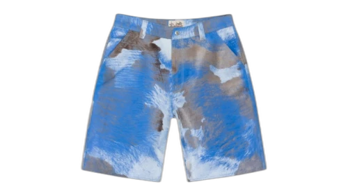 Stussy Ponyhair Work Short Multicolor