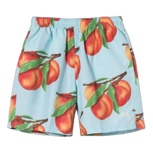Stussy Peaches Water Short 'Blue'