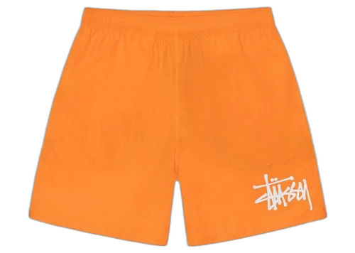 Stussy Big Basic Water Short Blaze