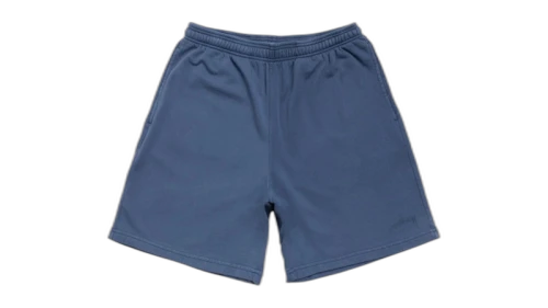 Stussy Lightweight Terry Short Blue