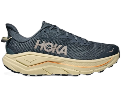 Hoka One One Challenger 8 Faded Navy Pampass Grass