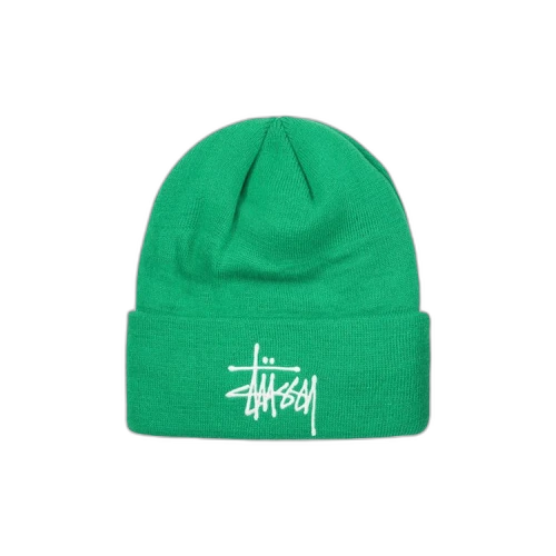 Stussy Thinsulate Jacquard Beanie 'Kelly'