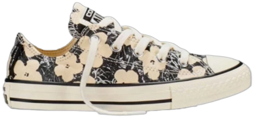 Converse Chuck Taylor All Star Andy Warhol Floral