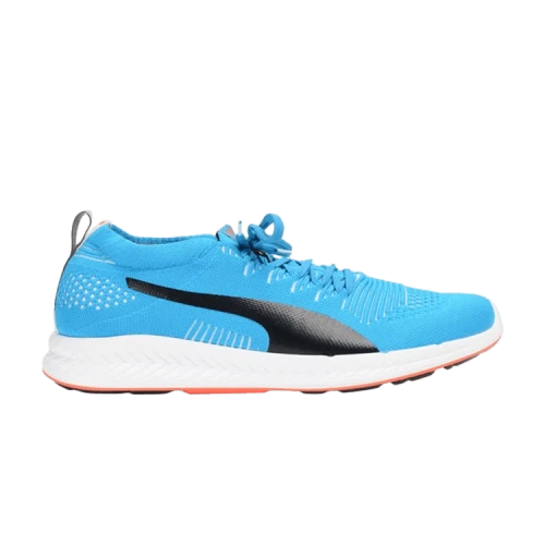 Puma Ignite Proknit 'Blue'
