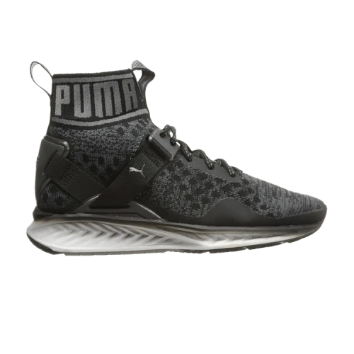 PUMA Ignite evoKnit 'Asphalt Quiet Shade'