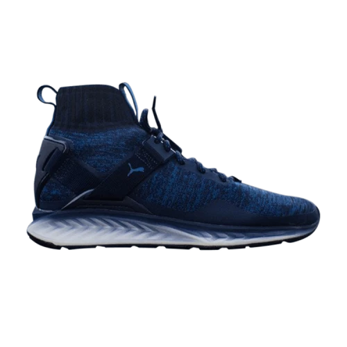 Puma Ignite evoKnit 'Fade - Peacoat'