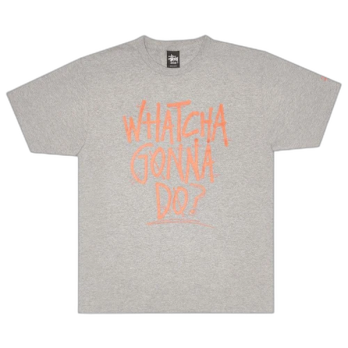 Stussy Watcha Gonna Do? Tee 'Grey Heather'
