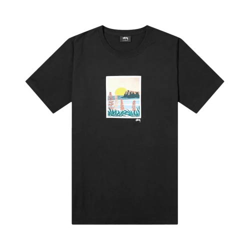 Stussy Coastal Tee 'Black'