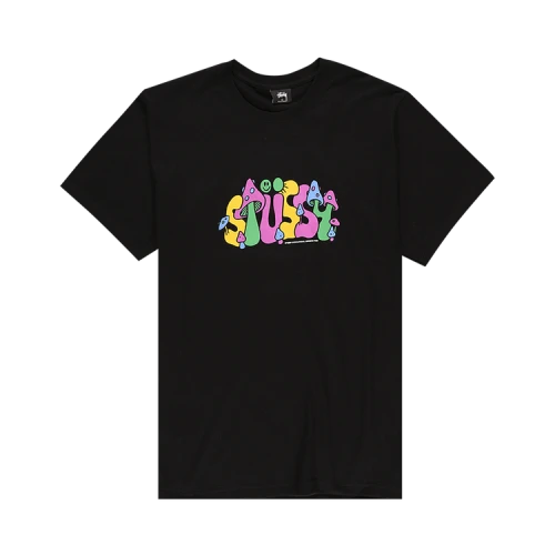 Stussy Colorado Tee 'Black'