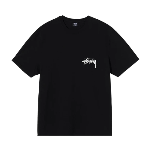 Stussy Painter Pigment Dyed Tee 'Black'
