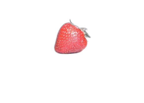 Stussy Strawberry Tee White