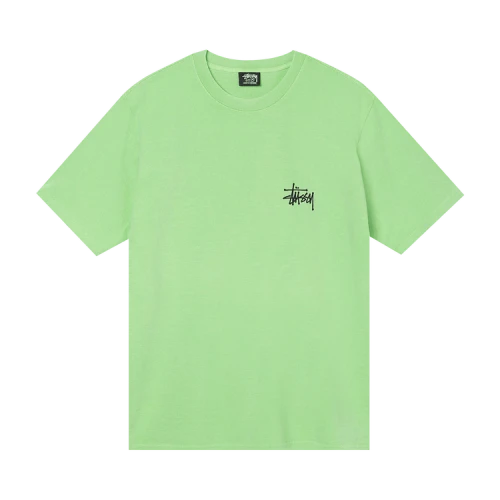 Stussy Skull Wings Pigment Dyed Tee Green
