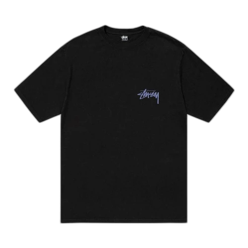 Stussy Skate Posse Pigment Dyed Tee 'Black'
