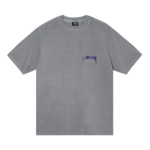 Stussy Arachnid Pigment Dyed Tee 'Grey'