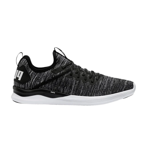 PUMA Ignite Flash EvoKnit 'Black Asphalt'