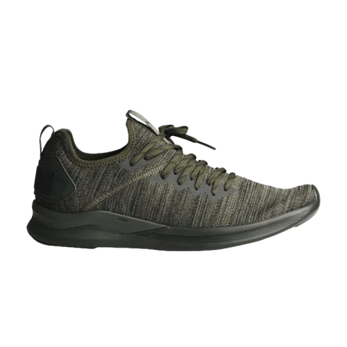 PUMA Ignite Flash evoKnit 'Forest Night'