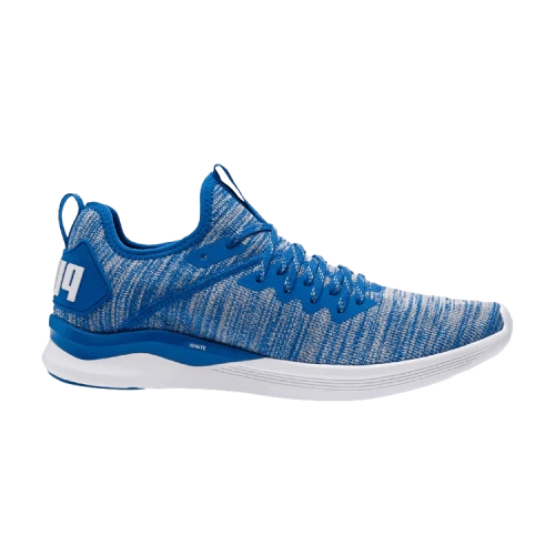 Puma Ignite Flash EvoKnit 'Island Paradise'