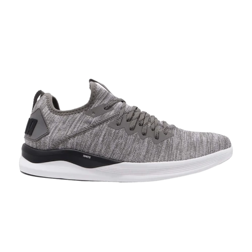 PUMA Ignite Flash EvoKnit 'Steel Gray'