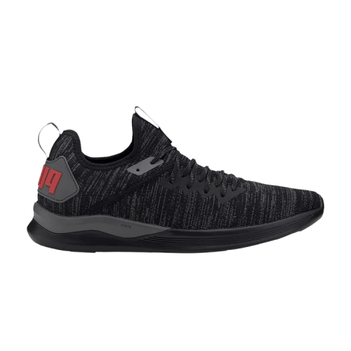 PUMA Ignite Flash EvoKNIT 'Black Castlerock'
