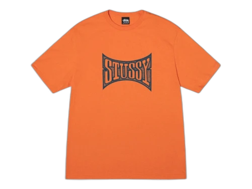 Stussy Champion Tee Coral
