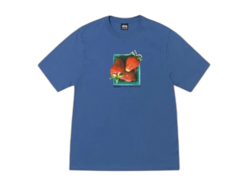 Stussy Berries Tee Blue