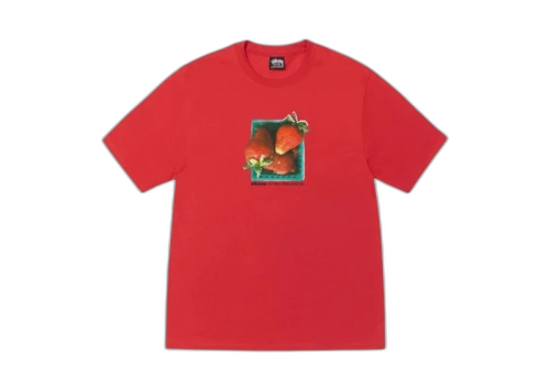 Stussy Berries T-shirt Cayenne