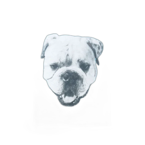 Stussy Big Dog Stone Washed T-Shirt 'Sky Blue'