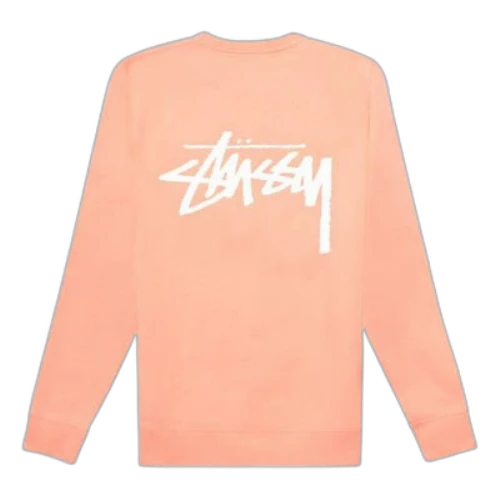 Stussy Back Large logo Round Neck