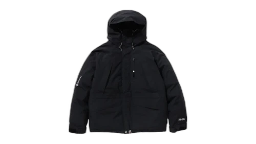 BAPE Gore-Tex Snowboard Down Jacket Black