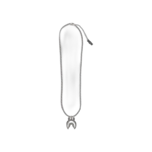 BAPE Shark Necklace 'Silver'