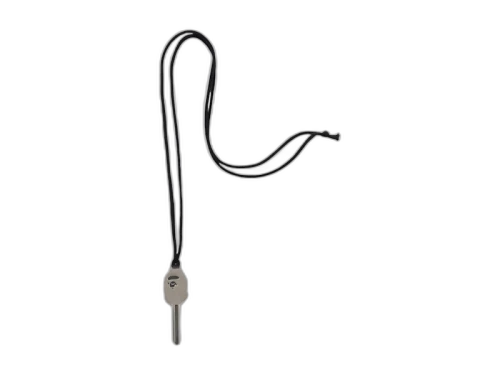 BAPE Ape Head Key Necklace Black