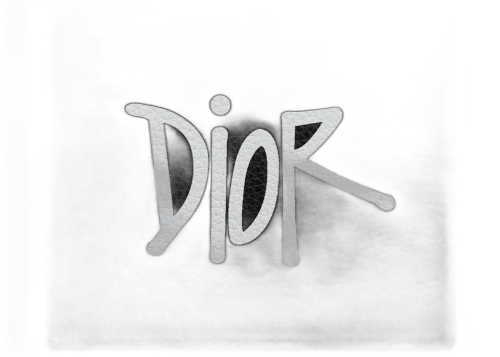 Dior And Shawn Wallet (8 Card Slot) Black