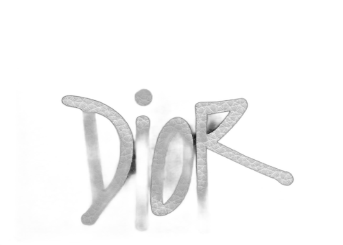 Dior And Shawn Card Holder (4 Card Slot) Black