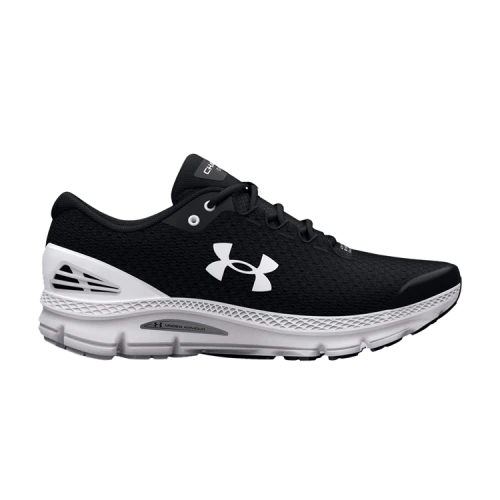 Under Armour Charged Gemini 2020 Marathon Running Shoes 'Black' (Women's)