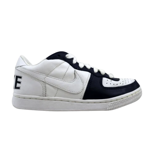 Nike Terminator Low White (GS)