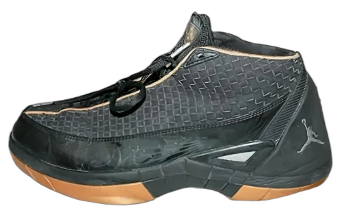 Jordan 15 SE Black Gold