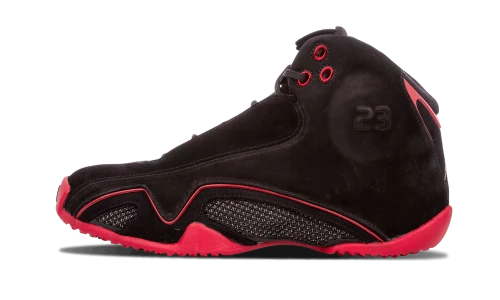 Jordan 21 Retro Bred CDP (2008)