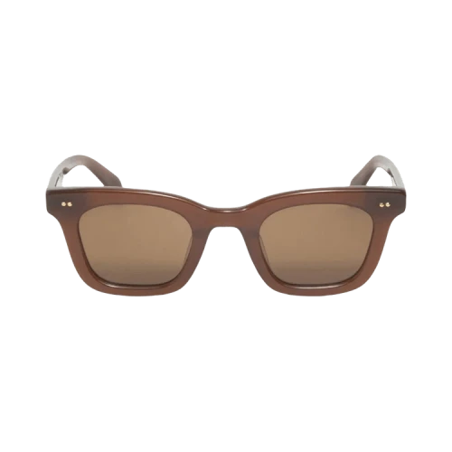Stussy Ace Sunglasses 'Dark Brown/Brown Lens'