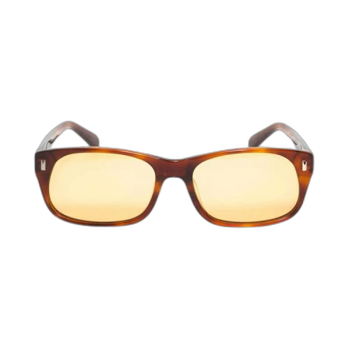 Stussy Michael Sunglasses 'Tortoise/Brown Lens'
