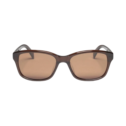 Stussy Alan Sunglasses 'Brown/Brown Lens'